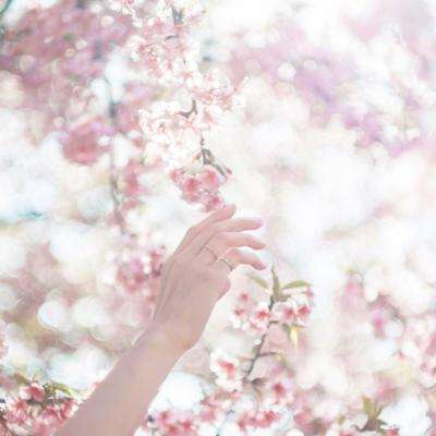 水上摩托竞速赛